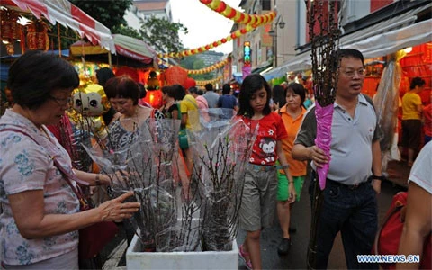 Người dân Singapore đi mua sắm đồ Tết tại Chinatown