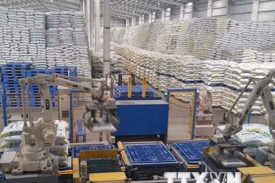 Dây chuyền sản xuất DAP của nhà máy. (Ảnh: Lục Hương Thu/TTXVN)