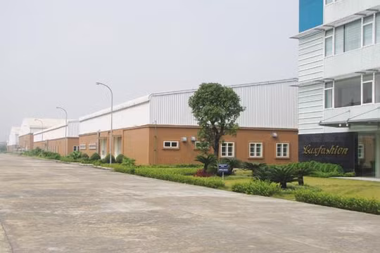 Chỉ sau 5 tháng xuất khẩu lô hàng đầu tiên, Nhà máy LuxFashion đã phải dừng hoạt động