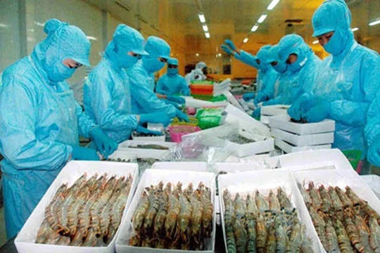 Trên 8.000 tấn thủy sản xuất khẩu bị... trả về