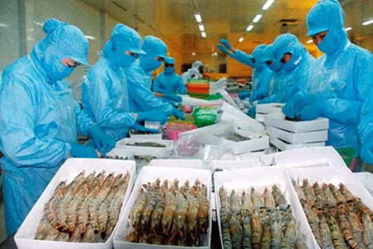 Trên 8.000 tấn thủy sản xuất khẩu bị... trả về