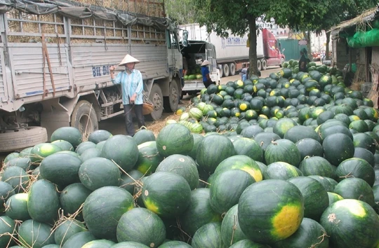 Ùn tắc hàng nông sản tại Lạng Sơn có thể kéo dài sang tháng 5