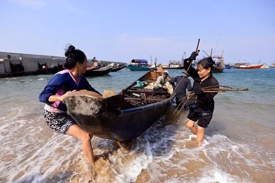 Ảnh minh họa. Nguồn Internet