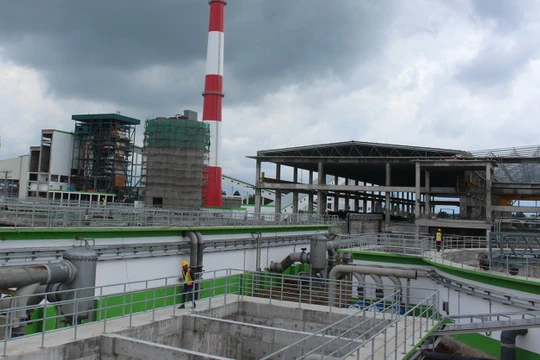 Nhà máy giấy Lee & Man