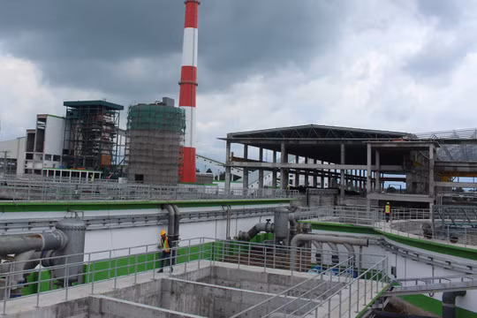 Nhà máy giấy Lee & Man