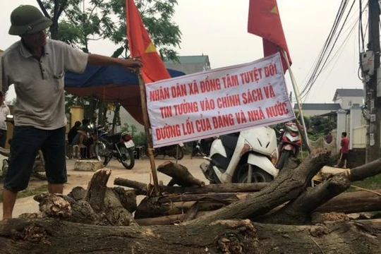 Ảnh minh họa. nguồn Internet.