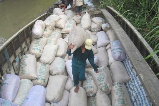 Dù rớt giá, gạo vẫn là một mặt hàng xuất khẩu chủ lực của Việt Nam