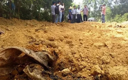 Phát hiện 200 tấn bùn thải trong KCN Formosa Đồng Nai. Ảnh: Infonet