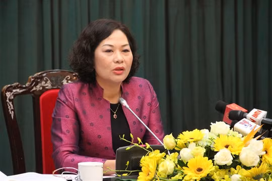 Bà Nguyễn Thị Hồng tại buổi họp báo - Ảnh: Thùy Dung