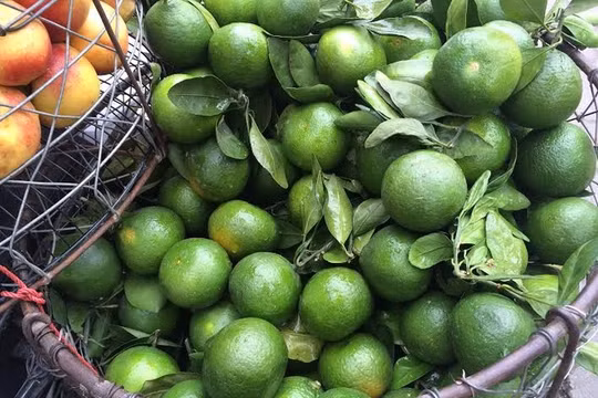 Mỗi ngày có gần 100 tấn cam xanh Trung Quốc được nhập về qua cửa khẩu Tân Thanh