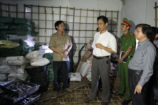 Lãnh đạo các ngành y tế, nông nghiệp ở Quảng Trị kiểm tra lô cá nục bị nhiễm phenol chiều 11-6 - Ảnh: Quốc Nam