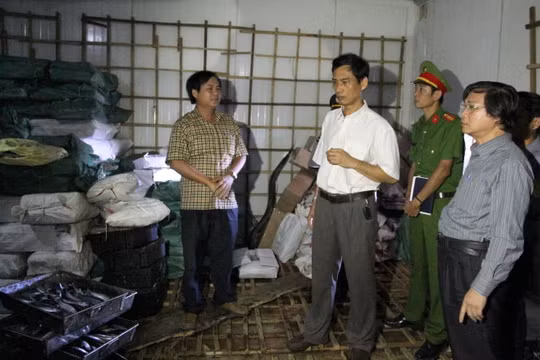 Lãnh đạo các ngành y tế, nông nghiệp ở Quảng Trị kiểm tra lô cá nục bị nhiễm phenol chiều 11-6 - Ảnh: Quốc Nam