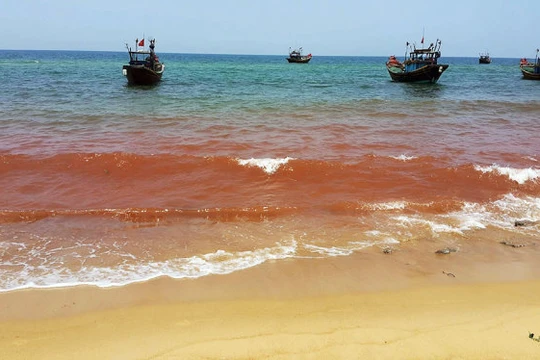 Vệt nước đỏ đục dài 1,5km xuất hiện ở bãi biển xã Nhân Trạch sáng 4-5 - Ảnh: M.P