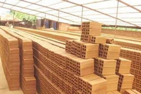 Thưởng Tết bằng ...gạch, quần đùi