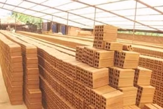 Thưởng Tết bằng ...gạch, quần đùi