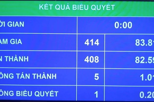 57 đại biểu không bấm nút biểu quyết lúc đó đi đâu?