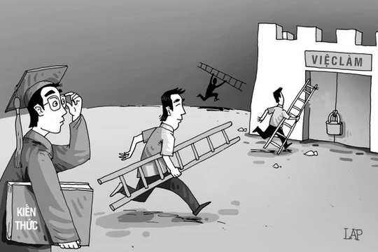 Đạt sát hạch công chức, thủ khoa vẫn thất nghiệp