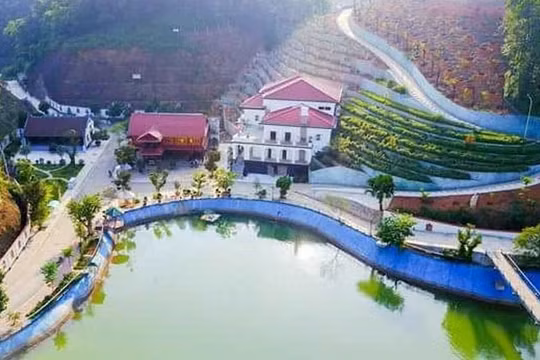 Ảnh minh họa. Nguồn: Zing