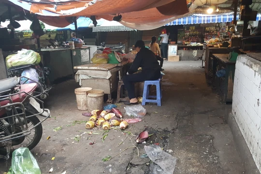 Bến Tre: Phổ biến quy định mới trong đảm bảo an toàn thực phẩm tuyến huyện, xã - Ảnh minh họa 