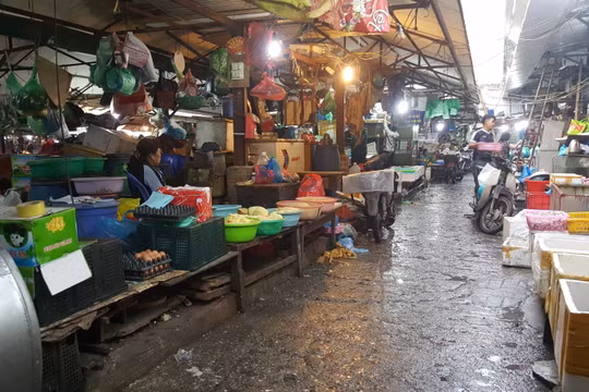 Bình Định: Tập huấn đảm bảo An toàn thực phẩm cho tuyến tỉnh, huyện