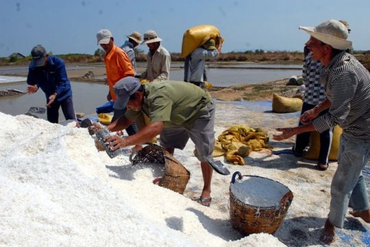 Ảnh minh họa. Nguồn Internet