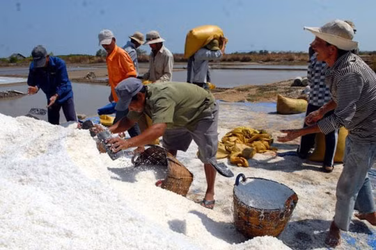 Ảnh minh họa. Nguồn Internet