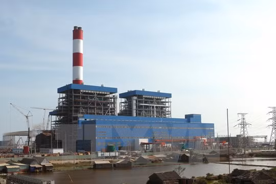 Mua toàn bộ tro xỉ của Nhà máy nhiệt điện Duyên Hải 1