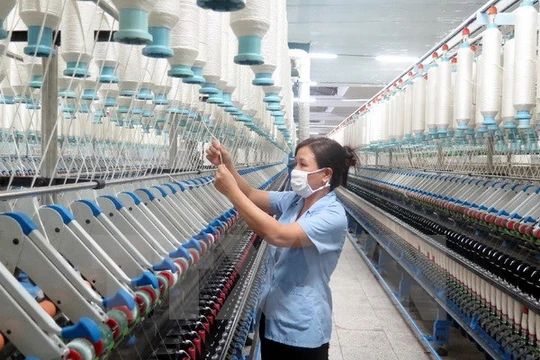 Ảnh chỉ có tính minh họa. (Ảnh: Hiền Hạnh/TTXVN)