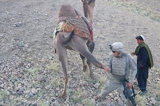 Lính Mỹ chưa kịp sờ đã bị lạc đà tung một chưởng - Ảnh chụp từ clip