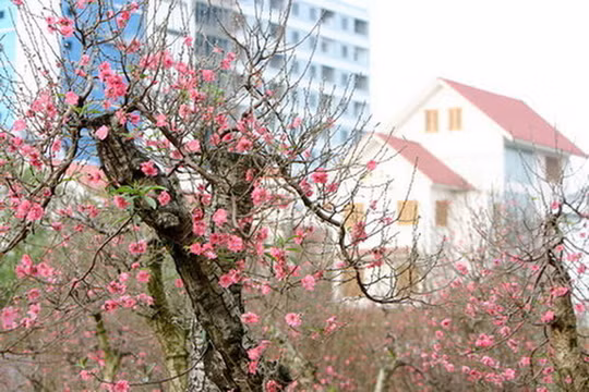 Việt Nam xếp 32 danh sách “những quốc gia tốt nhất”