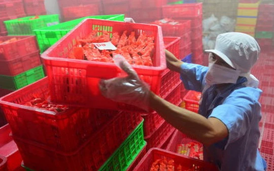 Vụ Vietfoods: QLTT nói doanh nghiệp “cứ vơ vào mình rồi nói tại này, tại kia“