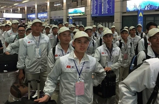 Sẽ tạm dừng tuyển lao động sang Hàn Quốc theo Chương trình EPS tại 90 quận, huyện