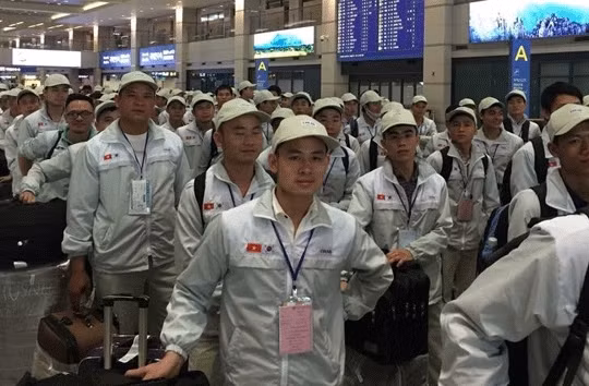 Sẽ tạm dừng tuyển lao động sang Hàn Quốc theo Chương trình EPS tại 90 quận, huyện