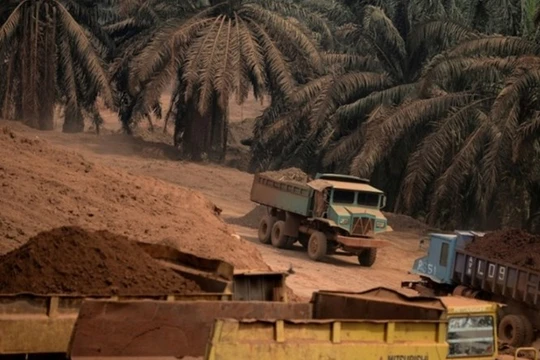 Khu vực khai thác quặng bauxite tại khu đất của nông dân Surin Beris trước đây từng trồng cây cọ - Ảnh: AFP