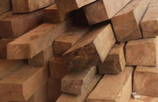 Huyện xin công an tỉnh trả gỗ cho “lâm tặc”