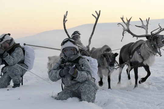 Clip tuần lộc và chó kéo xe tham gia huấn luyện tác chiến của Nga