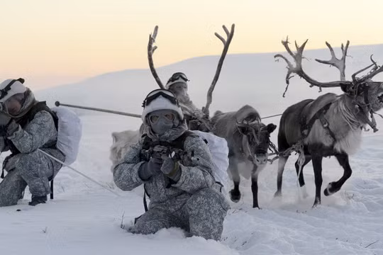 Clip tuần lộc và chó kéo xe tham gia huấn luyện tác chiến của Nga
