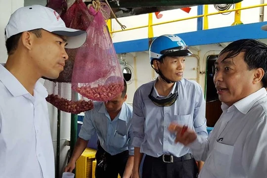 Tổ thẩm định độc lập lấy mẫu kiểm tra một tàu vỏ thép hỏng. Ảnh: TL