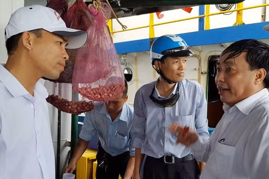 Tổ thẩm định độc lập lấy mẫu kiểm tra một tàu vỏ thép hỏng. Ảnh: TL