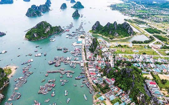 Hình minh họa. Nguồn: Báo Đầu tư