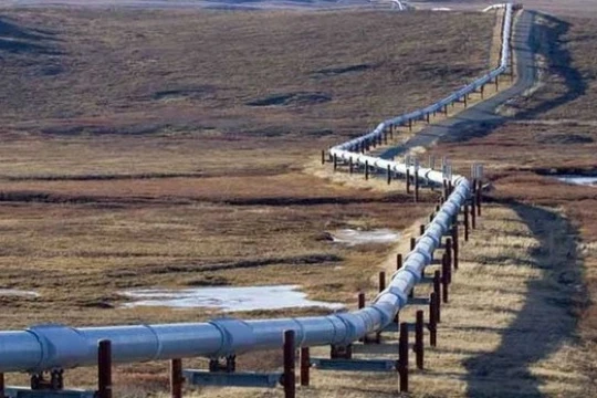 Cuộc đua bán dầu cho Trung Quốc