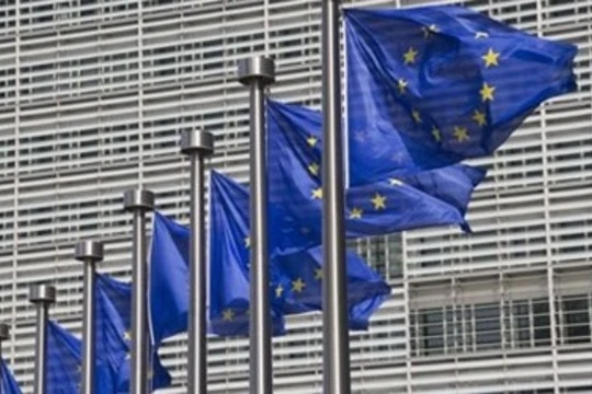 Các nước châu Âu phá mạng lưới gian lận thuế VAT xuyên quốc gia