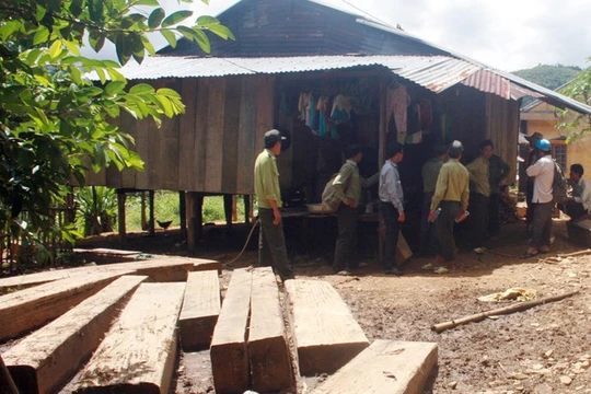 Gỗ lậu phát hiện tại xã Trà Bui - Ảnh: C.T.V