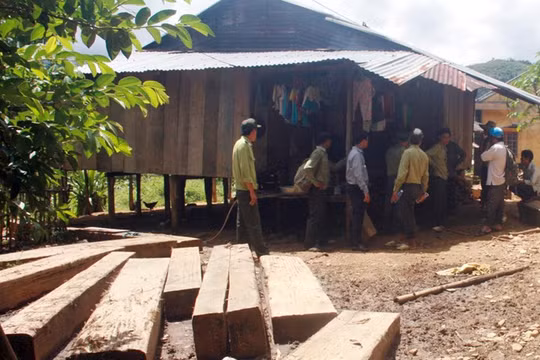 Gỗ lậu phát hiện tại xã Trà Bui - Ảnh: C.T.V