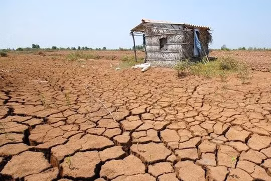 Cần hơn 3 tỷ USD chống hạn, mặn