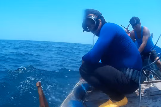 Để làm rõ tin đồn "cá chết xếp lớp" dưới đáy biển Nhân Trạch, Quảng Bình, phóng viên Tuổi Trẻ đã nhờ các thợ lặn mang máy quay ghi lại hình ảnh ở đáy biển khu vực này - Ảnh: Quốc Nam