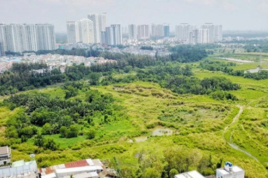 Ban Thường vụ Thành ủy TPHCM đã thống nhất đề nghị kỷ luật với các cá nhân liên quan.