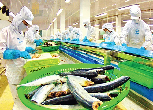 Ảnh minh họa. Nguồn Internet