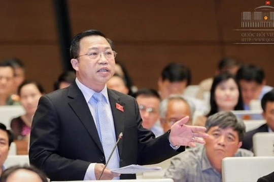 Đại biểu Lưu Bình Nhưỡng. Nguồn: quochoi.vn