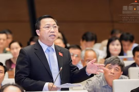 Đại biểu Lưu Bình Nhưỡng. Nguồn: quochoi.vn